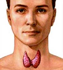 гипотиреоз - недостаток гормонов щитовидной железы