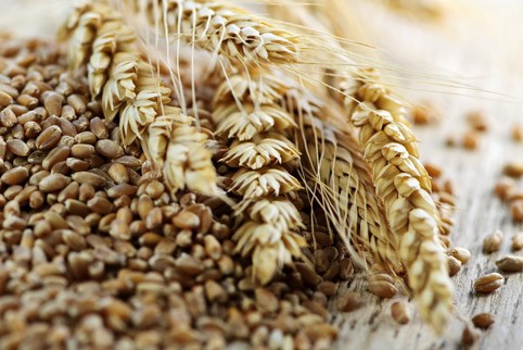 Необработанные зерновые – неплохой источник клетчатки. Но применение МКЦ  намного быстрее, проще и надежнее для похудения